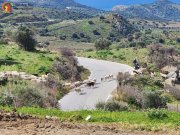 Saktouria Kreta Saktouria Anstehendes Villenprojekt ebenerdig mit Meerblick und priv. Pool Haus kaufen